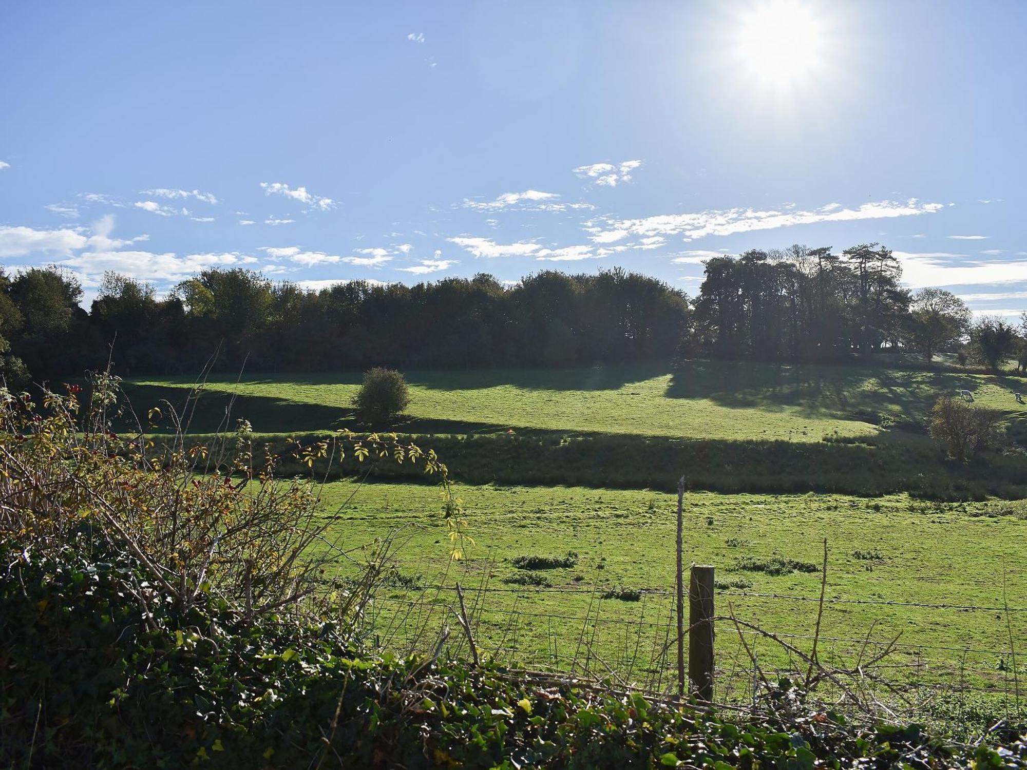 Carpenters Cottage Upwey エクステリア 写真